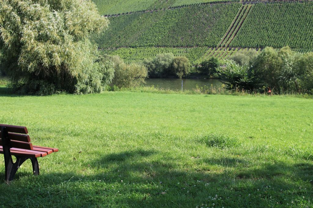 B&B Zum Treppchen Lösnich Eksteriør billede