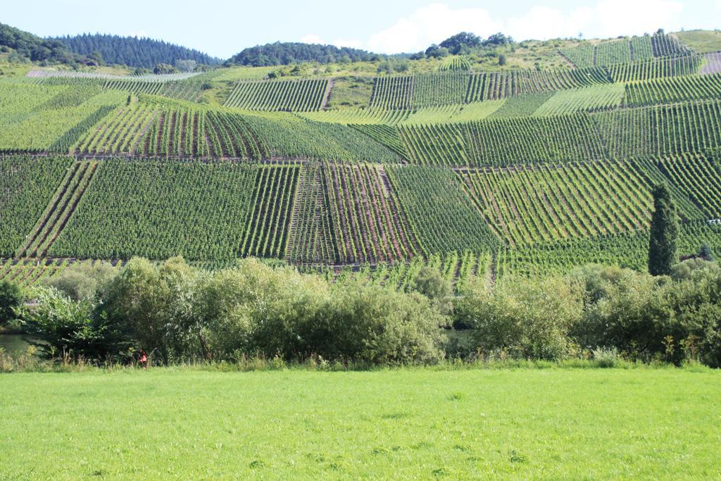 B&B Zum Treppchen Lösnich Eksteriør billede